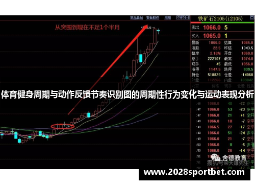 体育健身周期与动作反馈节奏识别图的周期性行为变化与运动表现分析